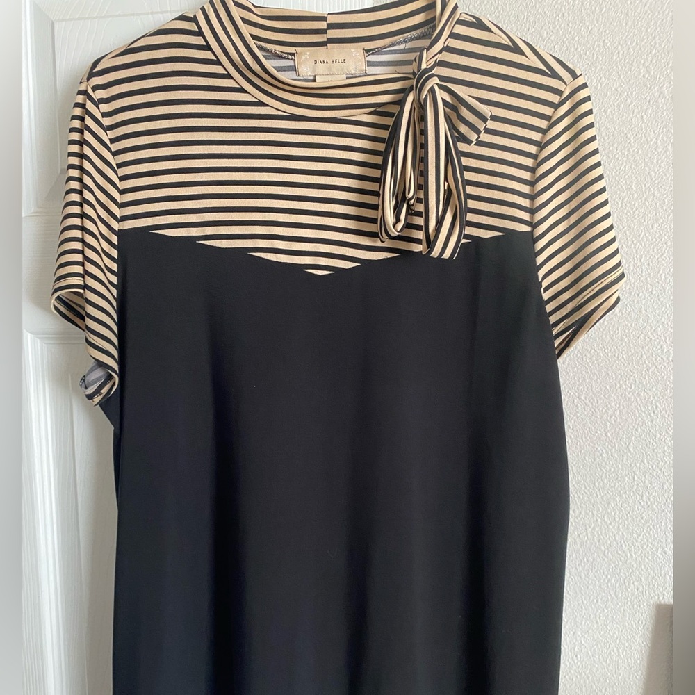 Diana Belle Dressy top